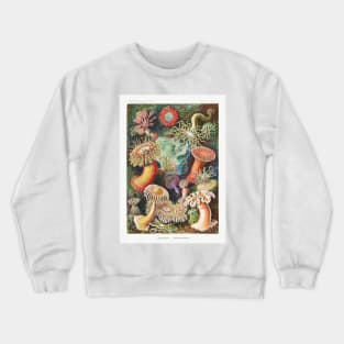 Sea Anemone Crewneck Sweatshirt